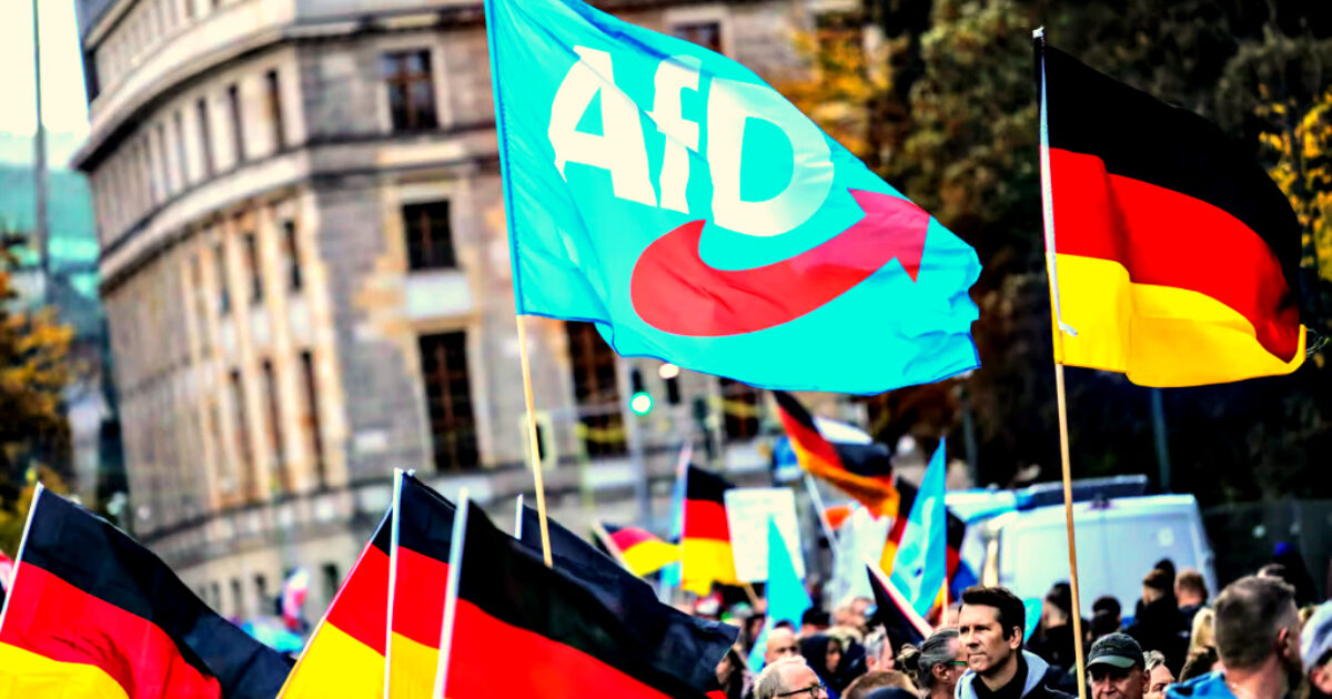 Chairman of Senate Intelligence Committee Tom Cotton Calls for the US To Pause Intel Sharing With German Government, Not To Help It to Spy on Right-Wing AFD Party