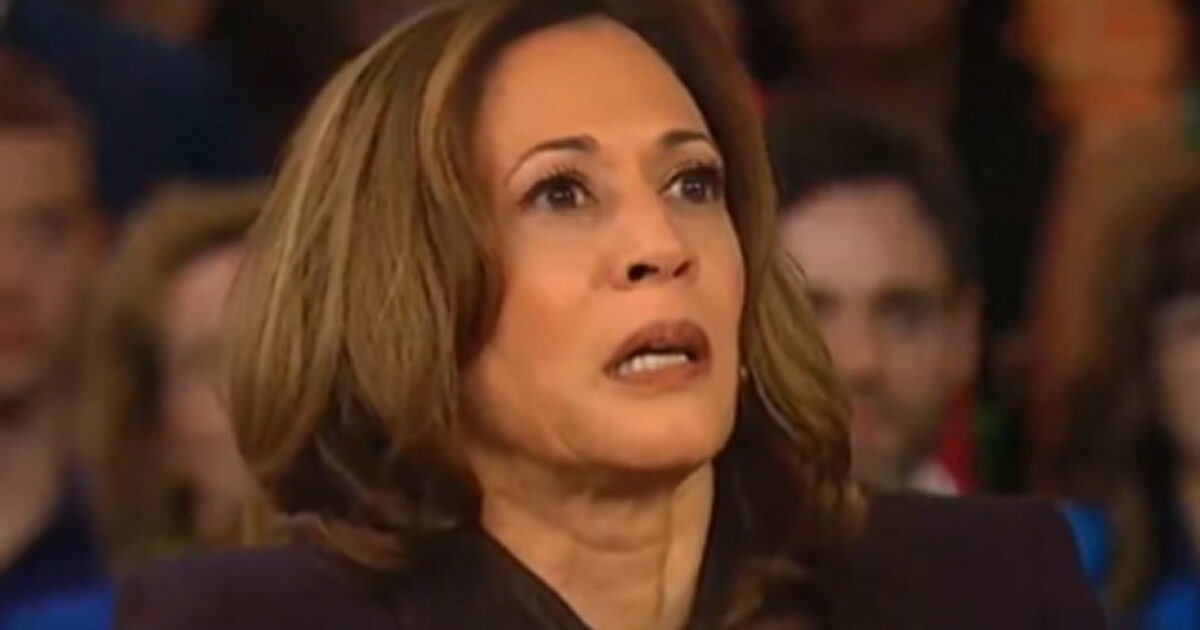 Polls Show Kamala Harris Fading as 2028 Contender — While Dark Horse Emerges as Clear Frontrunner