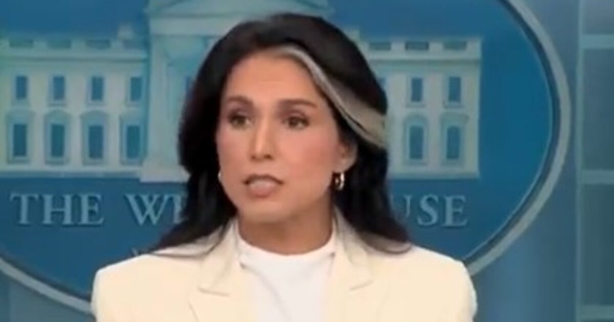 Panic: CNN Cuts Away from Tulsi Gabbard Right as Starts Exposing Barack Obama’s Treasonous Actions in Russia Collusion Hoax (VIDEO)
