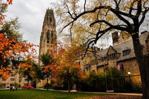 The Brew: Can Trump Break the Back of Anti-Western Academia?