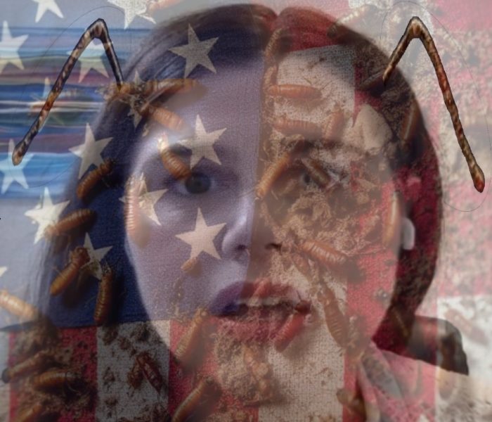 Justice Didn’t Put Tina Peters in Prison, Criminals in the Deep State Did