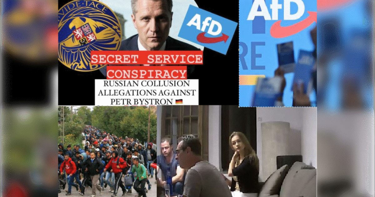 EU Paid €600,000 to ‘Journalists’ Network with Ties to USAID Immediately Following the 2024 EU Elections for Their Work Smearing Unfavored Candidates –