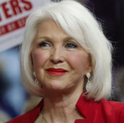 Tina Peters Motion Hearing: Whistleblower Out, Novel Amicus In