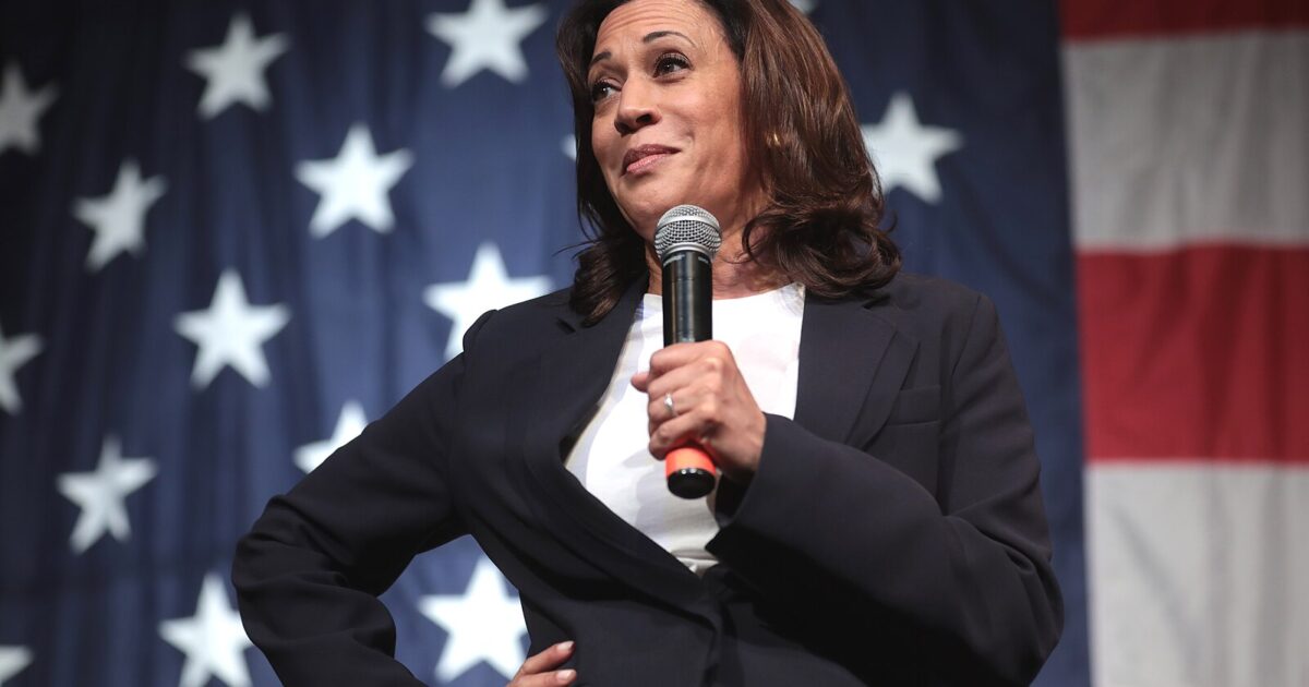 White House Responds After Kamala Harris Teases She May Run Again for President in 2028 (VIDEO)