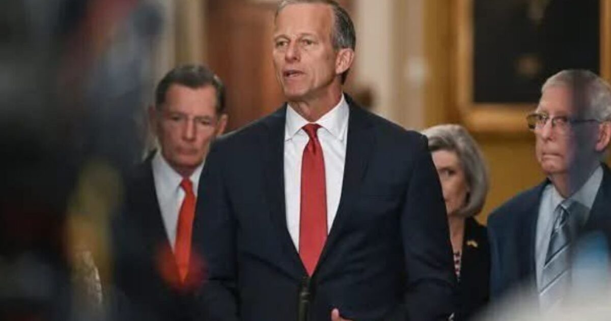 WAYNE ROOT: I’ve Warned for Months We Either Pass the SAVE Act, and/or Kill the Damn Filibuster- or We Lose Midterms, Trump Presidency is Over, and We Lose America Forever. After Texas Senate Loss Over Weekend, I’m Proven 100% Correct.